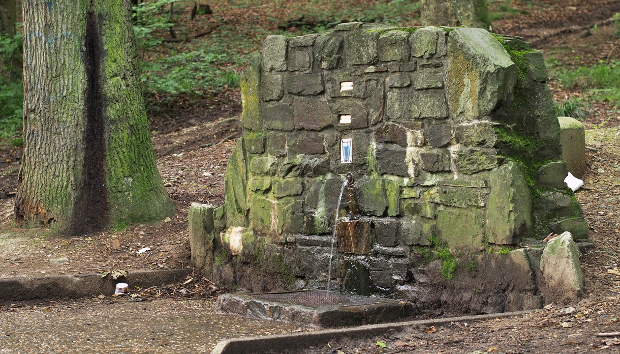 Carl-von-Ibell-Brunnen im Adamstal außer Betrieb – Zuleitung nach Leitungsarbeiten gekappt