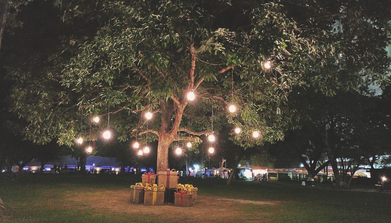 Walluf stellt Wunschbaum vor dem Rathaus auf und sammelt Weihnachtsbotschaften