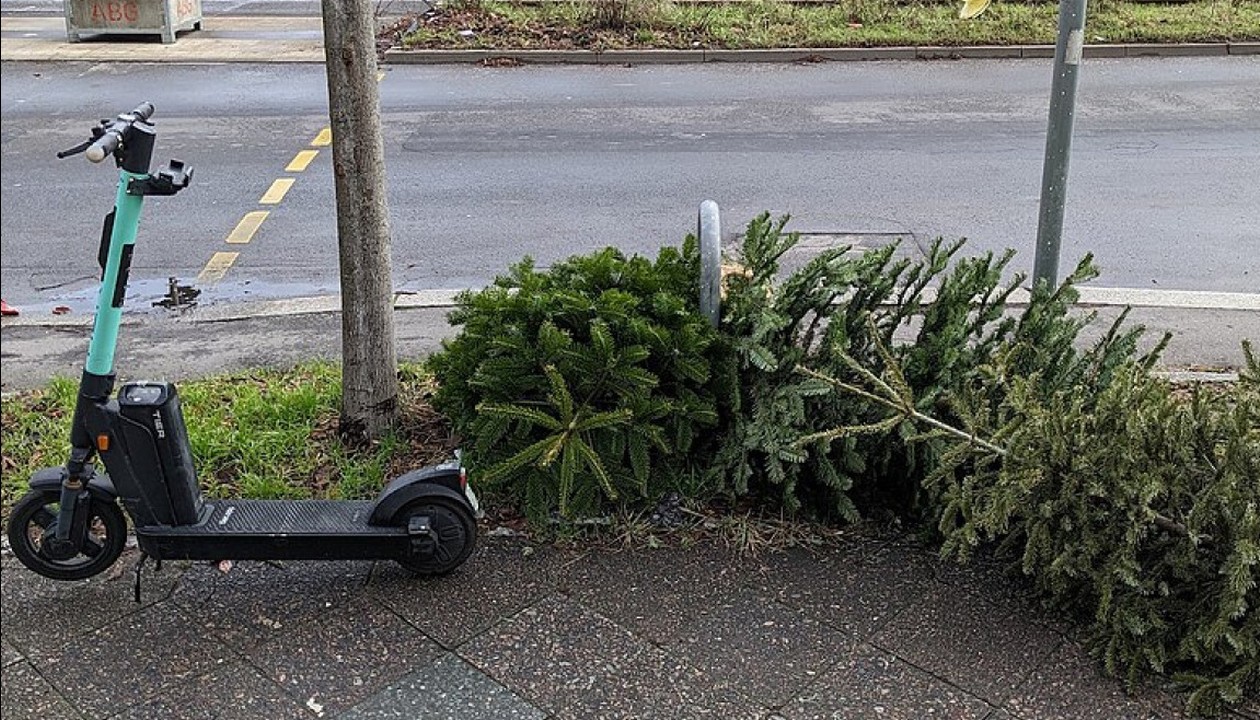 Wiesbaden: Weihnachtsbäume werden zwischen 12. und 23. Januar an Grundstücken abgeholt