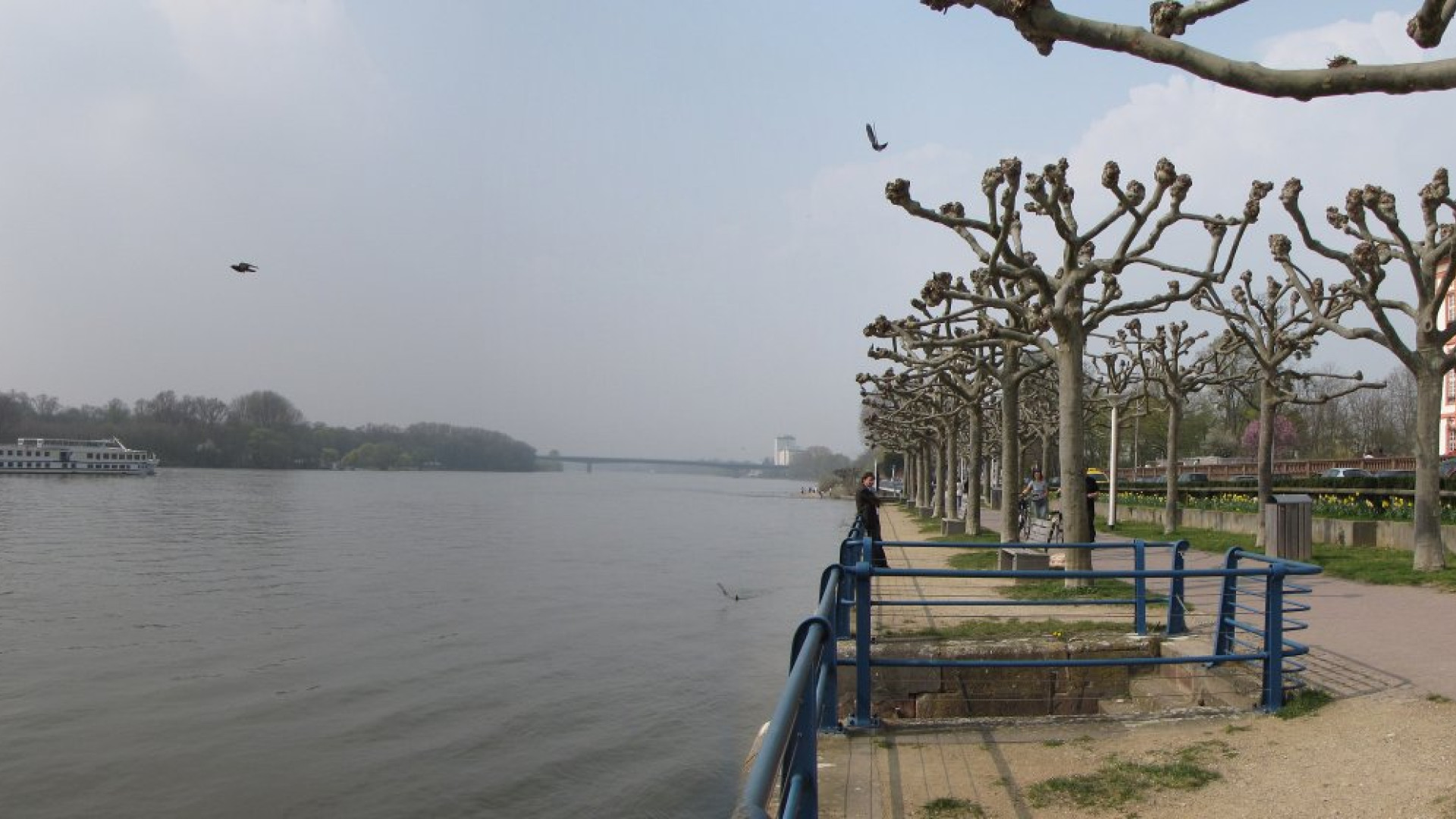 WiesNahDran: Der Rhein vor der Haustür und trotzdem weit weg: Nutzt Wiesbaden seine Lage gut genug? | Bild: Traveler100 / CC BY-SA 3.0