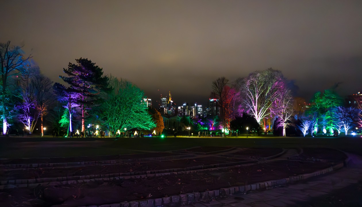 Winterlichter Palmengarten 2023 / 2024 – Highlights, Termine und Besuchertipps