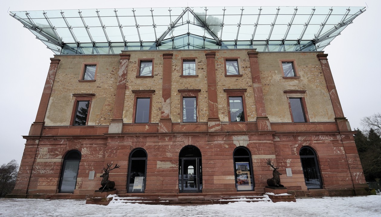 Zertifizierte Nordmanntannen aus dem Stadtwald: Selbstschlagen am 13. Dezember Zertifizierte Nordmanntannen aus dem Stadtwald: Selbstschlagen am 13. Dezember